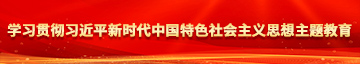 搞大B学习贯彻习近平新时代中国特色社会主义思想主题教育