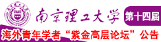 强插试看南京理工大学第十四届海外青年学者紫金论坛诚邀海内外英才！